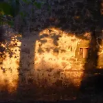 Au Bonheur D'alphonse 3* Lusignan-Petit