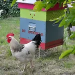 Au Bonheur D'alphonse