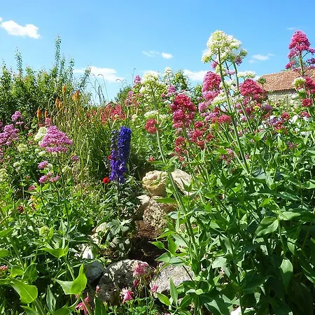 Au Bonheur D'alphonse