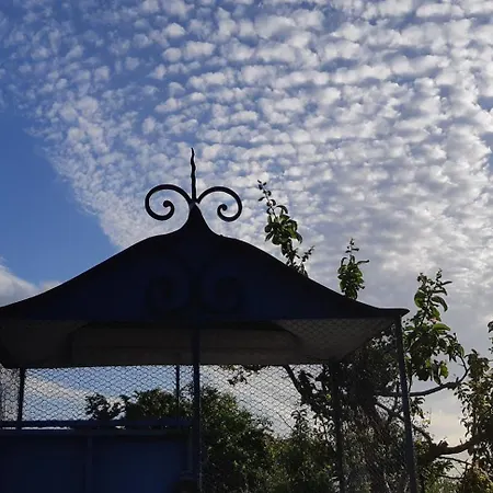 Au Bonheur D'alphonse Couette-café Lusignan-Petit