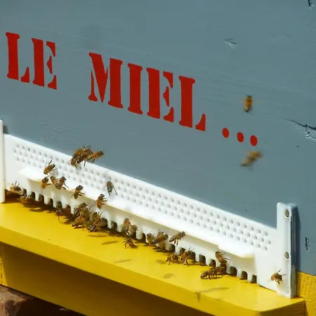 Couette-café Au Bonheur D'alphonse Lusignan-Petit