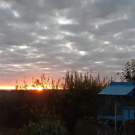 Au Bonheur D'alphonse Lusignan-Petit