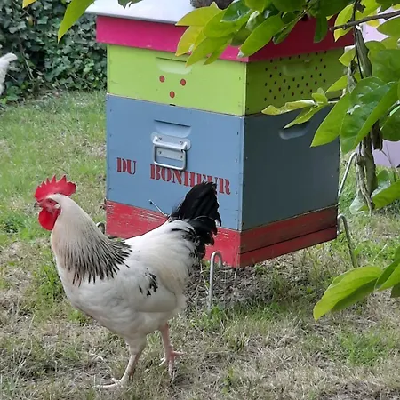 Au Bonheur D'alphonse