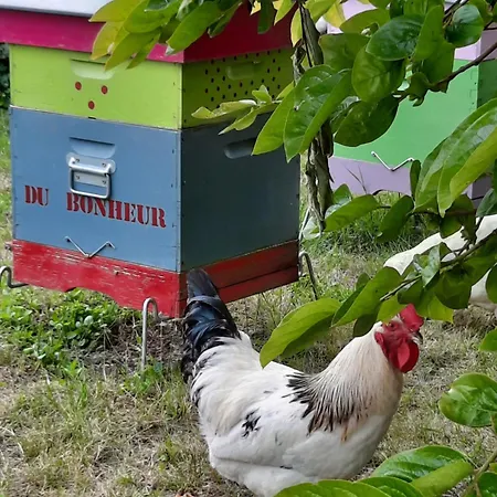 Couette-café Au Bonheur D'alphonse Lusignan-Petit