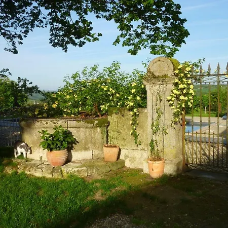Au Bonheur D'alphonse Couette-café Lusignan-Petit