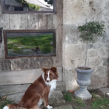 Au Bonheur D'alphonse