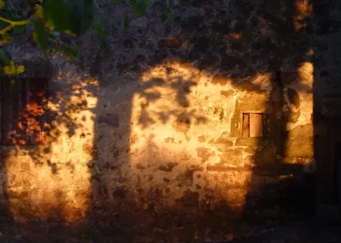 Au Bonheur D'alphonse 3* Lusignan-Petit