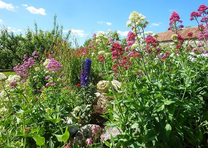 Au Bonheur D'alphonse