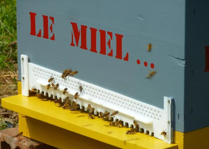 Bed & Breakfast Au Bonheur D'alphonse Lusignan-Petit