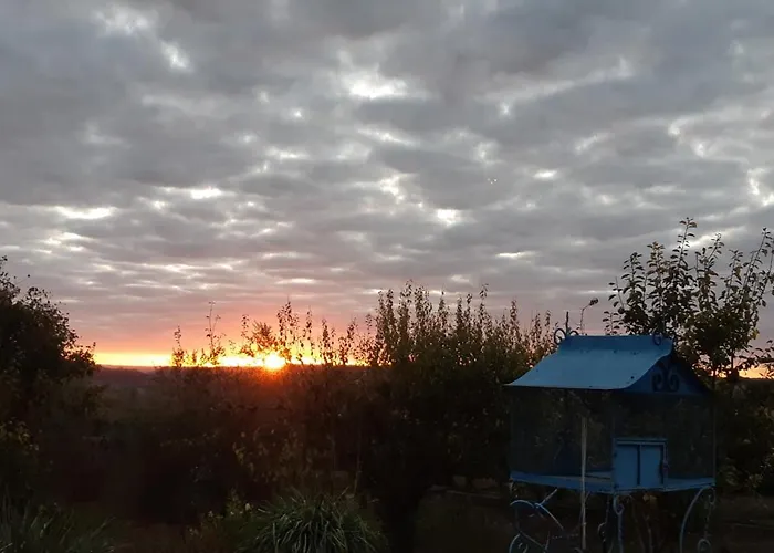 Au Bonheur D'alphonse Lusignan-Petit