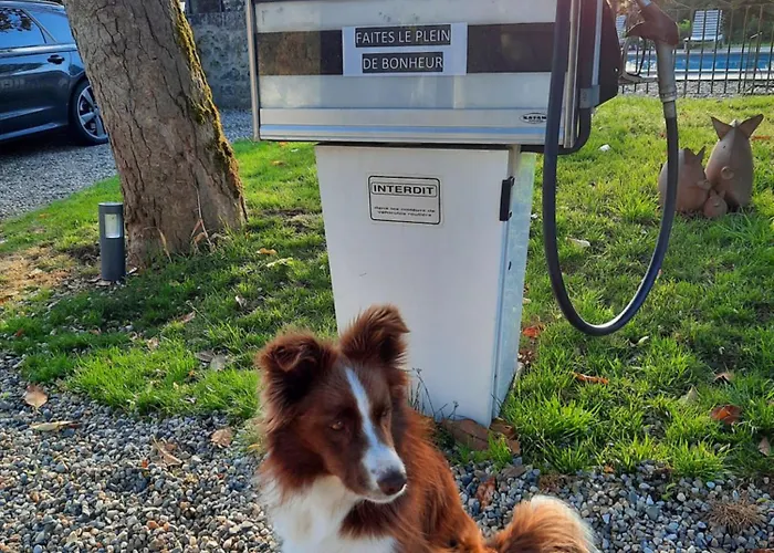 Bed and Breakfast Au Bonheur D'alphonse