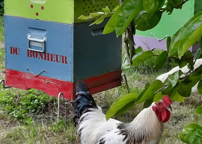 Bed & Breakfast Au Bonheur D'alphonse Lusignan-Petit