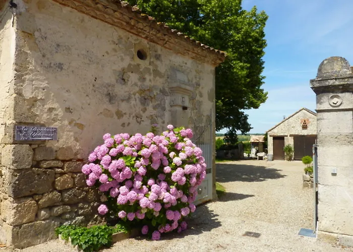 Au Bonheur D'alphonse