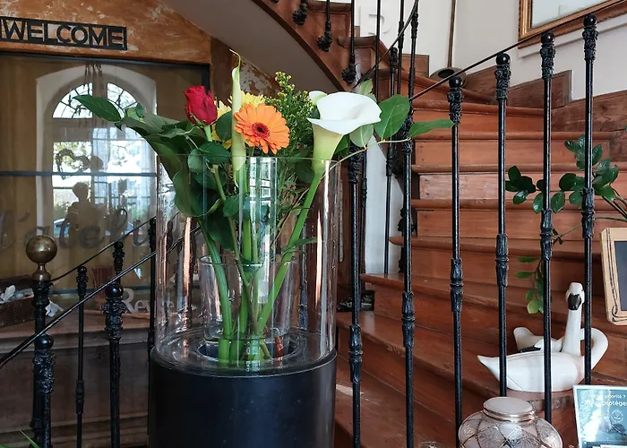 Bed & Breakfast Au Bonheur D'alphonse Lusignan-Petit