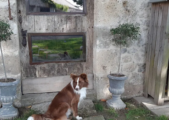 Au Bonheur D'alphonse